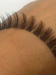 Harley iLash Custom Length Lashes